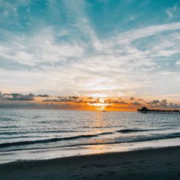 Meet your Posher, Rose - Picture 1 of 5